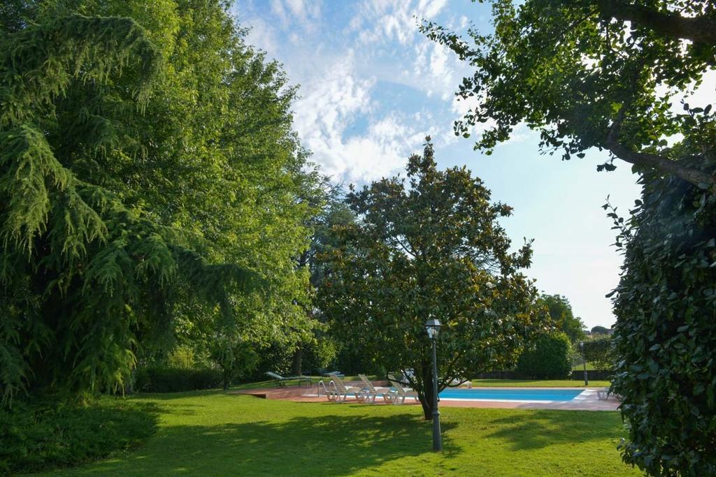 Agriturismo Kogoj Medea ภายนอก รูปภาพ