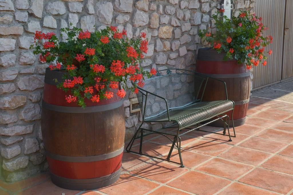 Agriturismo Kogoj Medea ภายนอก รูปภาพ